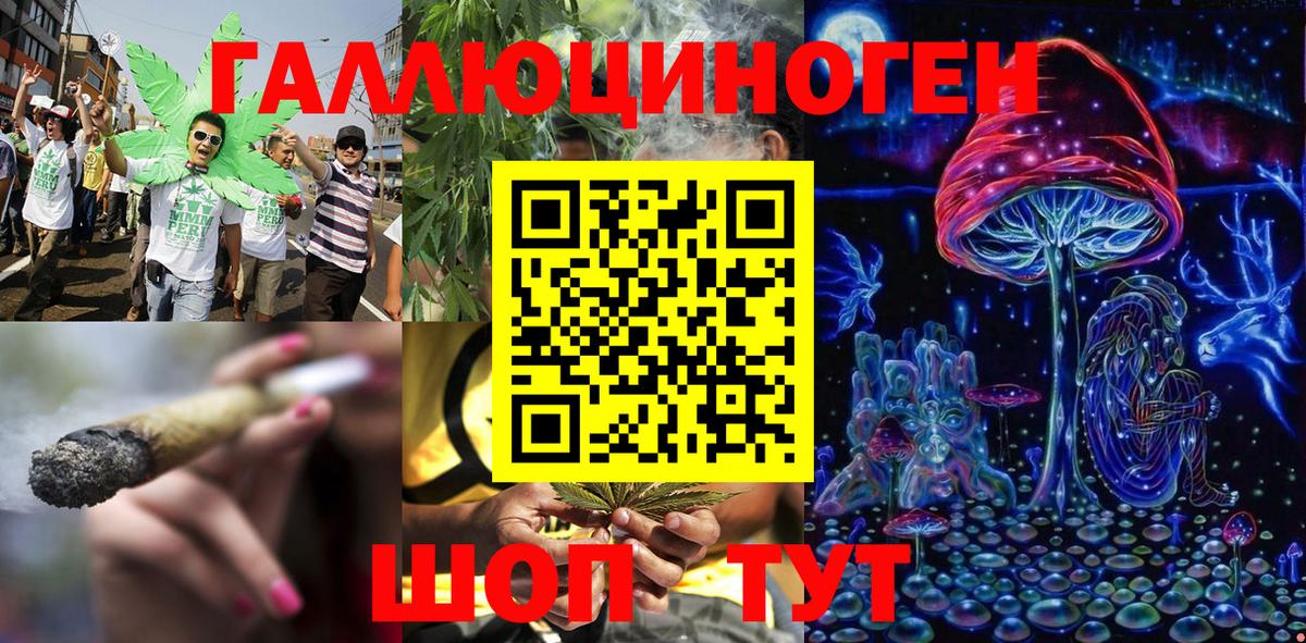 Галлюциногенные грибы MAGIC MUSHROOMS Москва