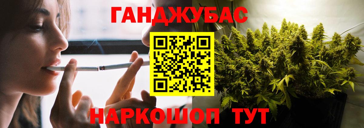 Псилоцибиновые грибы Москва